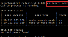 kubernetes1.8.2安装配置calico2.6.6（附4种网络模式性能数据）